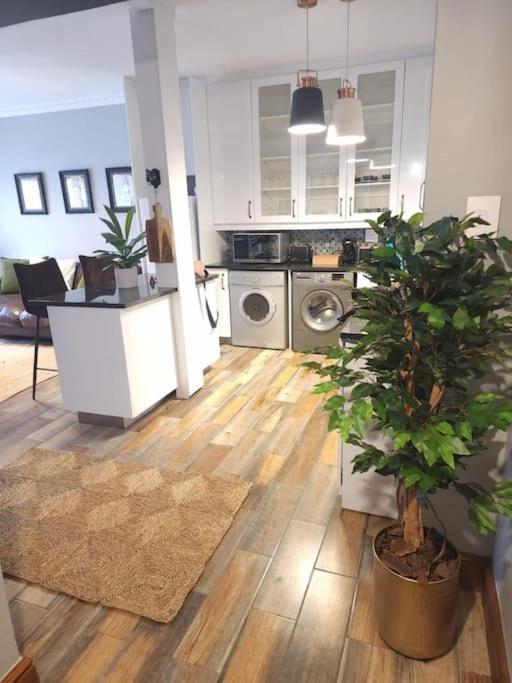 Cape Town, Sea Point, Beautiful 2 Bedroom Apartment @Tucked Away Eksteriør billede